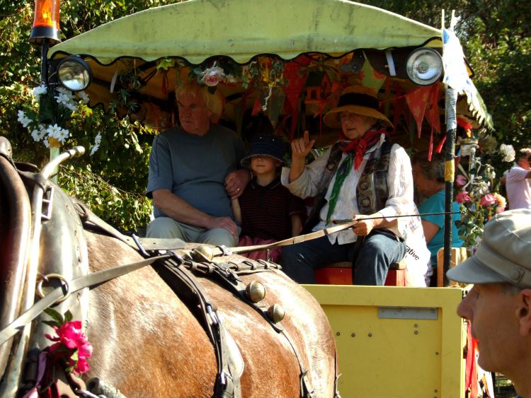 Horse and Cart Rides
