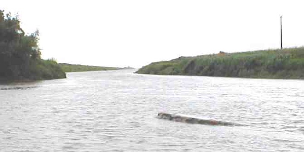 Silt accumulates between the channels below the Sluice