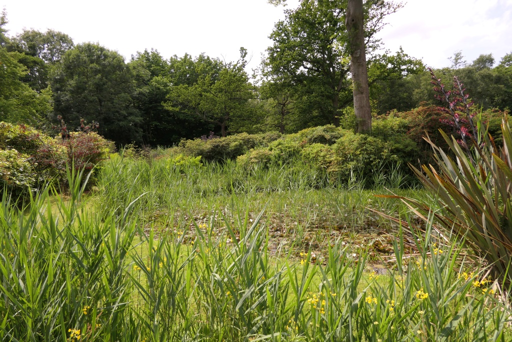 How Hill Gardens