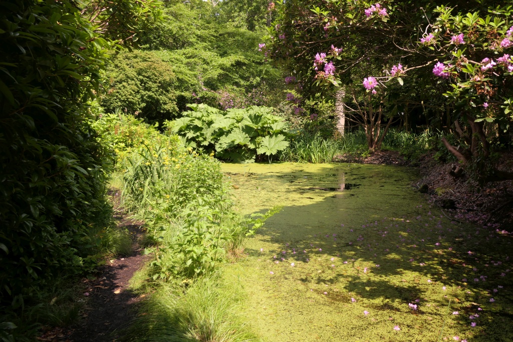 How Hill Gardens