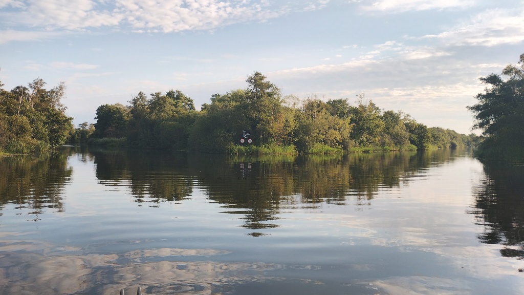 The River Ant